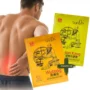 tianDe Set fyto náplastí WUTONG + Jian Kang